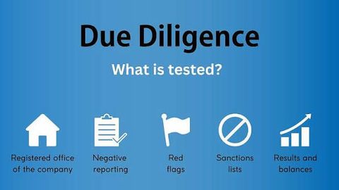 Business Due Diligence Guide: Financial Records, Legal Reviews, Risk Factors, and Acquisition Insights
