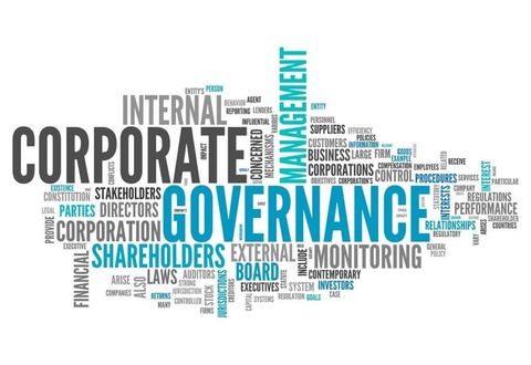 Corporate Governance Guide: Board Oversight, Shareholder Matters, Compliance Duties, and Business Insights
