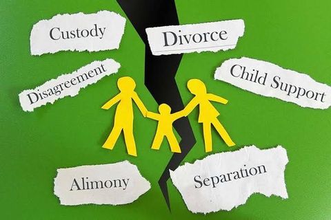 Domestic Relations Guide: Family Law Processes, Financial Matters, Court Procedures, and Practical Information